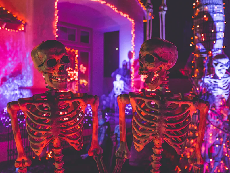 Skeleton figures in colored holiday lights
